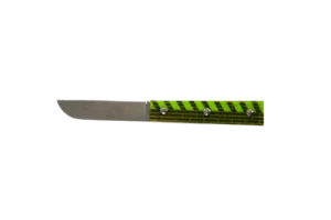 Le-Paladru-vue-003-1-transparent