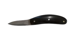 l'ecaill'art-001-transparent