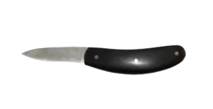 l'ecaill'art-003-transparent